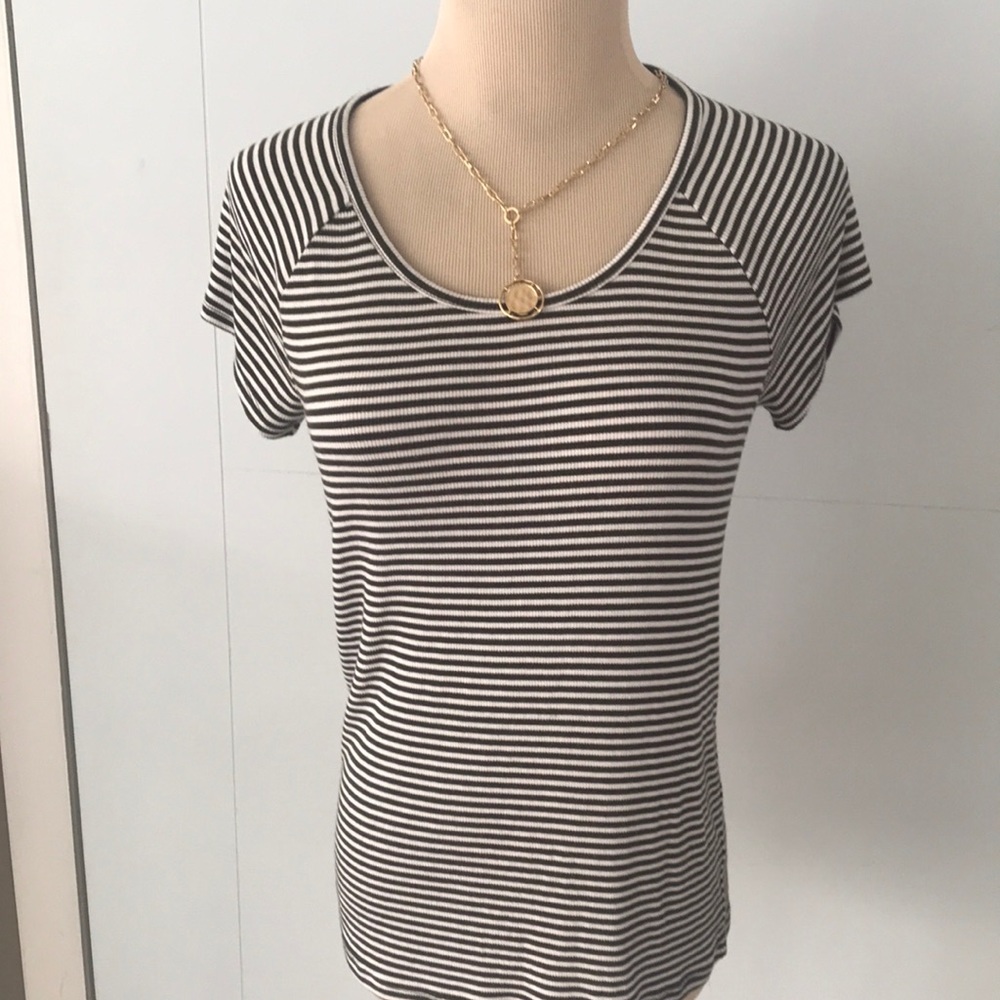 Green and white short sleeve top by Loft/M